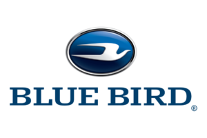 Blue Bird